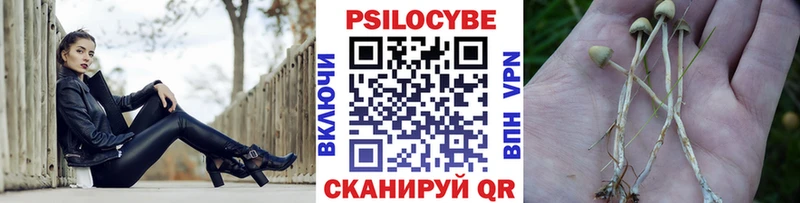 цена наркотик  Тутаев  нарко площадка какой сайт  Галлюциногенные грибы Magic Shrooms 