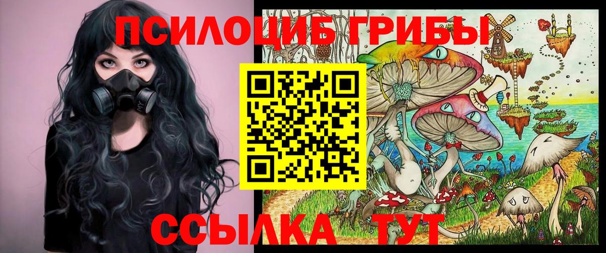 Псилоцибиновые грибы Psilocybine cubensis Тутаев