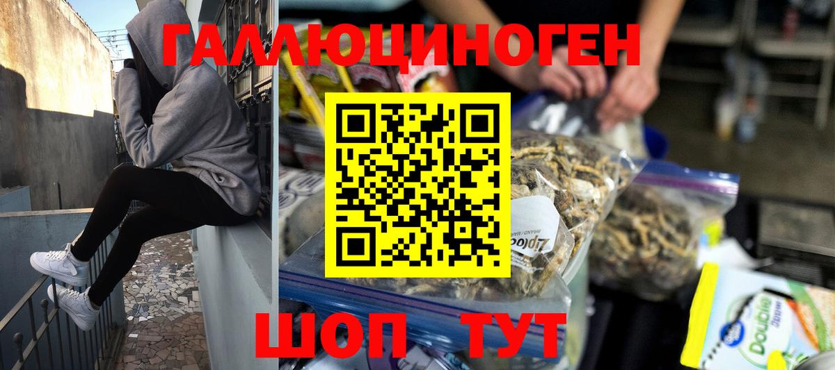купить   Галлюциногенные грибы прущие грибы  Вход с VPN  Тутаев 